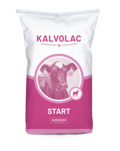Kalvolac Start